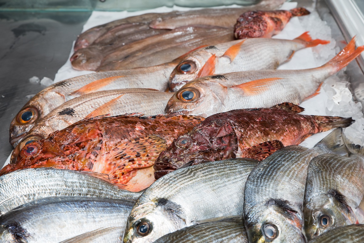 Resto poisson pêche locale sanary sur mer VAR
